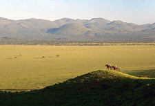Kenya-Chyulu-Chyulu Hills Riding Safari in Kenya